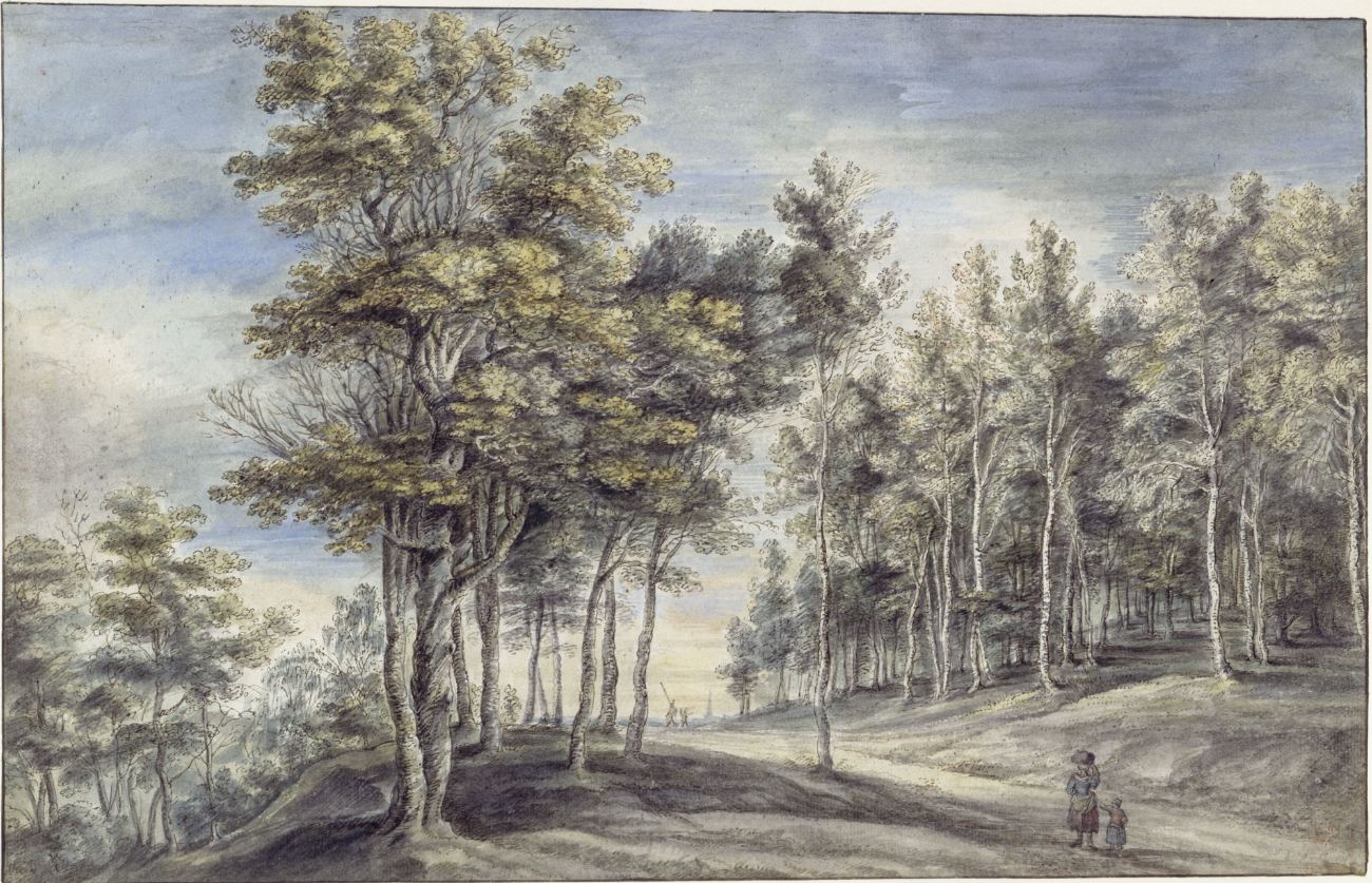 van Uden — Waldweg